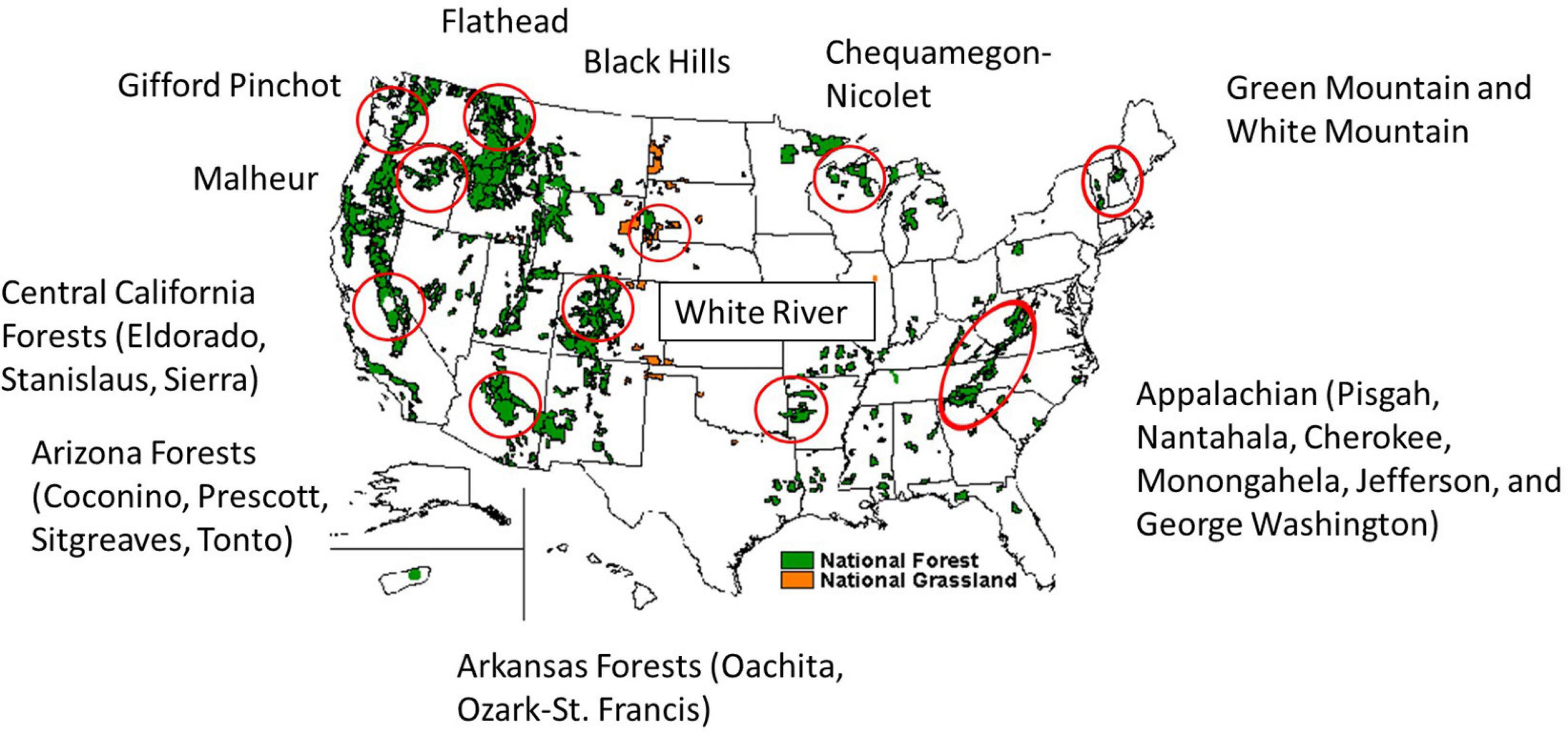 Assessing carbon stocks and accumulation potential of mature forests and larger trees in U.S. federal lands